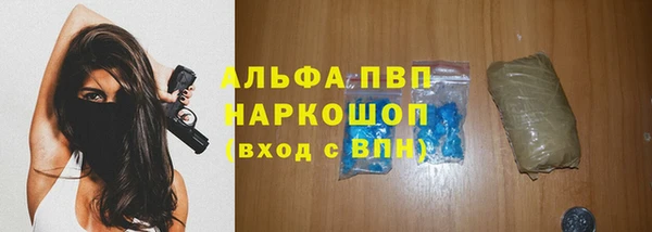 spice Баксан